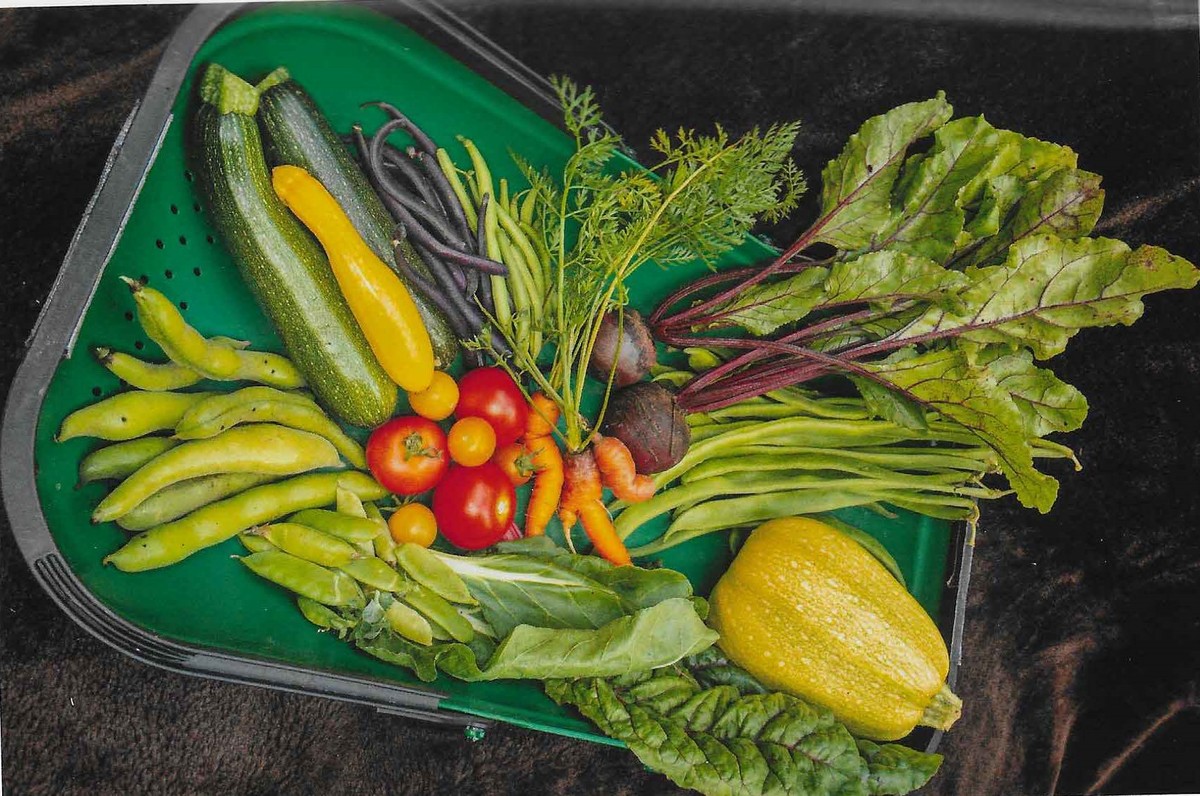 Array of Vegetables